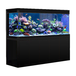 Wholesale 400 Gallon Aquarium - Black & Gold